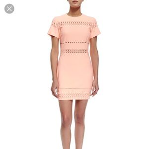 Elizabeth and James Ari Dress